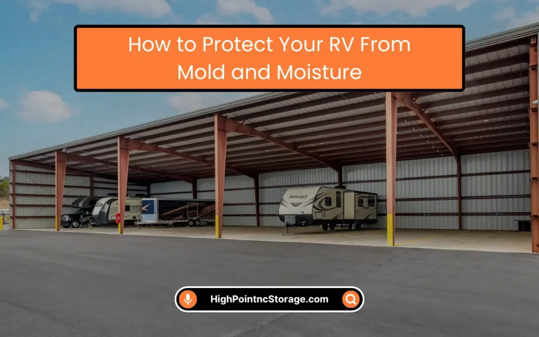 How to Protect Your RV From Mold and Moisture? (2025)